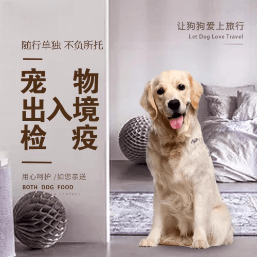 鞍山市宠物托运到哥伦比亚猫狗宠物入境规定和