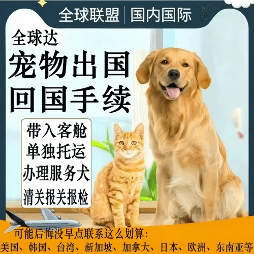 鞍山市宠物托运到柬埔寨宠物入境规定和要求