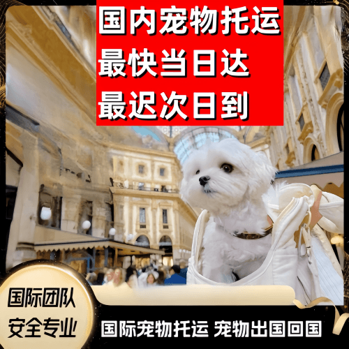 鞍山市到澳大利亚（澳洲）宠物入境规定和要求