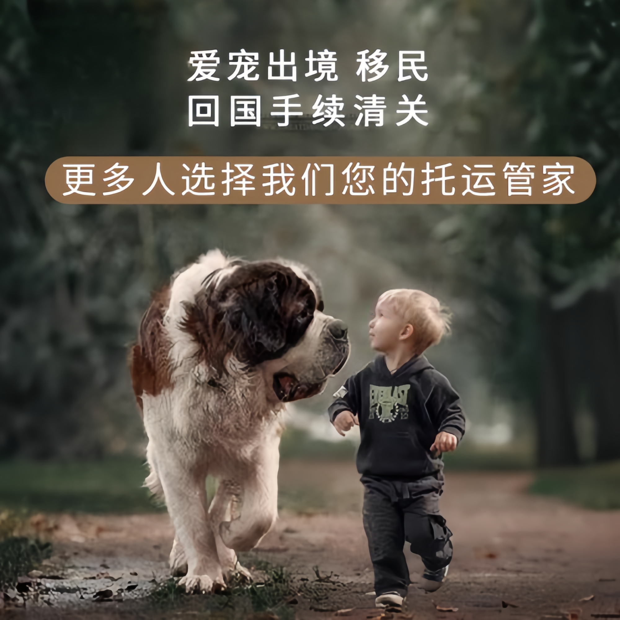 满财鞍山市宠物全球达宠物托运在遵守入境目的地政策的条件