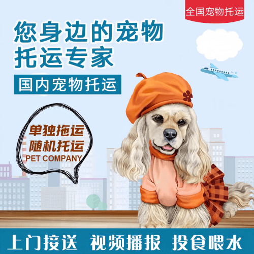 满财鞍山市宠物全球达宠物托运作为专业的宠物运输代理机构